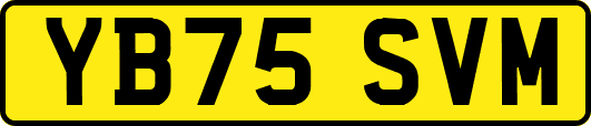 YB75SVM
