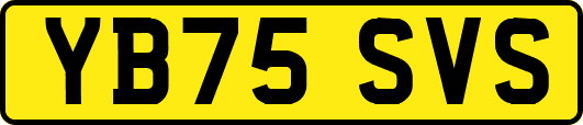 YB75SVS