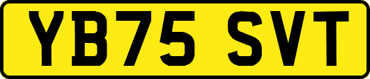 YB75SVT