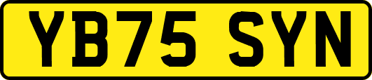 YB75SYN