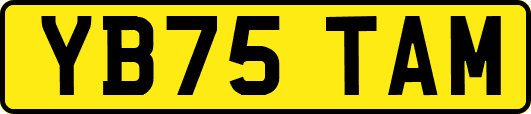 YB75TAM