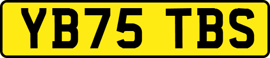 YB75TBS