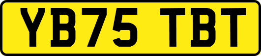 YB75TBT