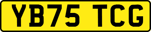 YB75TCG