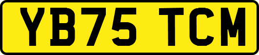 YB75TCM