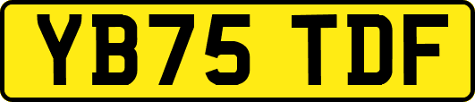 YB75TDF