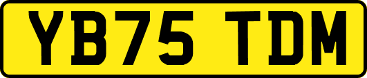 YB75TDM