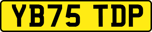 YB75TDP