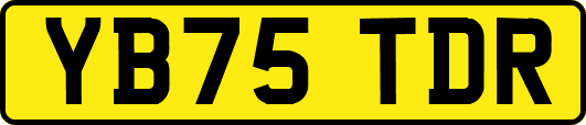 YB75TDR