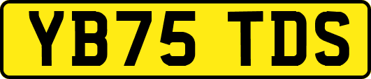 YB75TDS