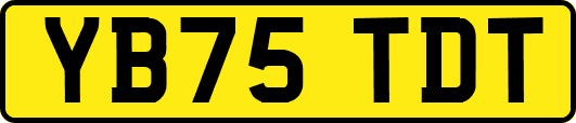 YB75TDT