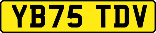 YB75TDV