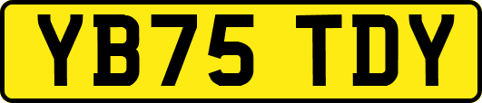 YB75TDY