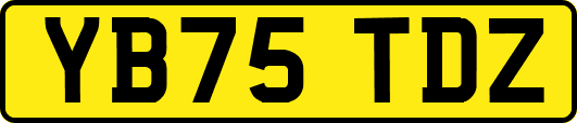 YB75TDZ