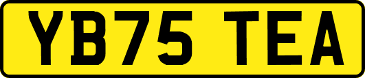 YB75TEA