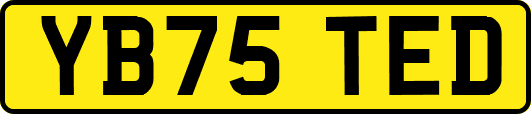 YB75TED
