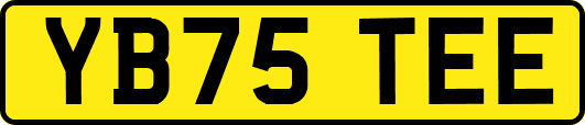 YB75TEE