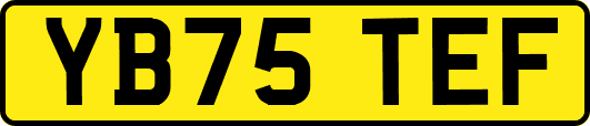 YB75TEF