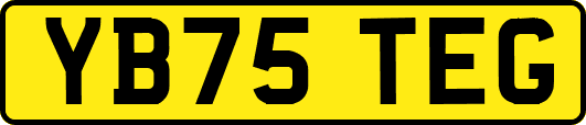YB75TEG