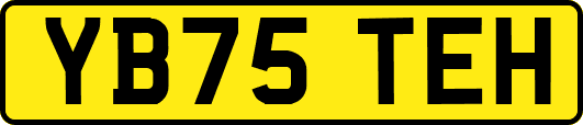 YB75TEH