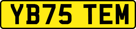YB75TEM