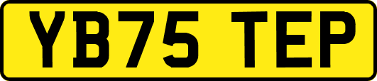 YB75TEP