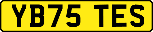 YB75TES