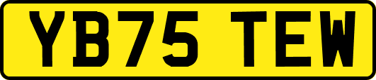 YB75TEW