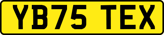 YB75TEX