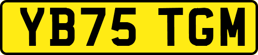 YB75TGM