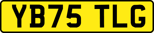 YB75TLG