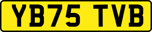 YB75TVB