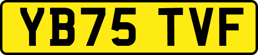 YB75TVF