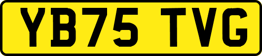 YB75TVG