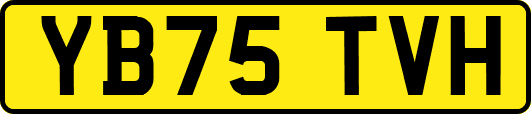 YB75TVH