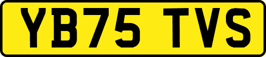 YB75TVS