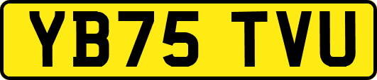 YB75TVU