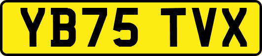 YB75TVX