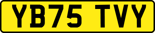 YB75TVY