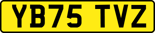 YB75TVZ