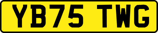YB75TWG