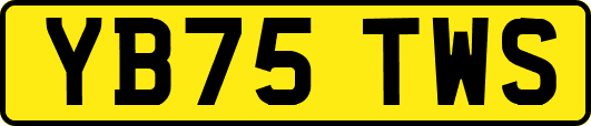 YB75TWS