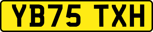 YB75TXH