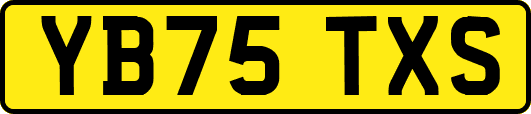 YB75TXS