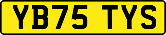 YB75TYS