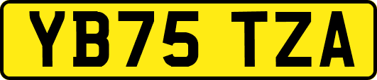 YB75TZA