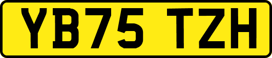 YB75TZH
