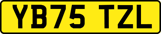 YB75TZL