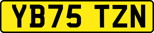 YB75TZN