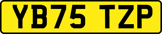 YB75TZP